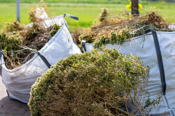 Best Junk Removal Near Me  in Walnut Ridge, AR
